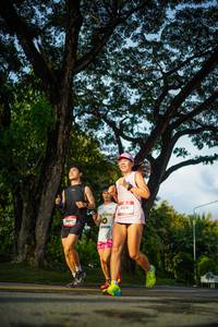 BIB: 
                            <button type="button" onclick="openModal(26551494)" class="btn btn-primary btn-sm float-right btn-popup" data-toggle="modal" data-target=".modal-high-quality">
                        <i class="fas fa-shopping-cart"></i> Add to Cart
                    </button>
                                            <button type="button" onclick="isThisMe(26551494, true)" class="btn btn-success btn-sm float-right btn-popup btn-isme hidden" data-toggle="tooltip" data-placement="bottom" title="นี่คือรูปของคุณใช่ไหม คลิกที่นี่เพื่อเอาเข้าอัลบั้ม">
                        <i class="fas fa-plus"></i> Add to album
                    </button>
                    <button type="button" onclick="isThisMe(26551494, false)" class="btn btn-warning btn-sm float-right btn-popup btn-isnotme hidden">
                        <i class="fas fa-ban"></i> Remove from album
                    </button>